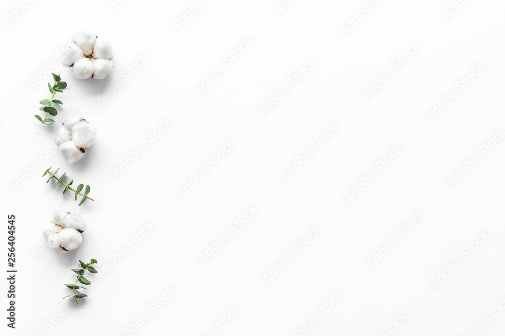 Flowers border with green eucalyptus branches and dry cotton flowers on white background top view co