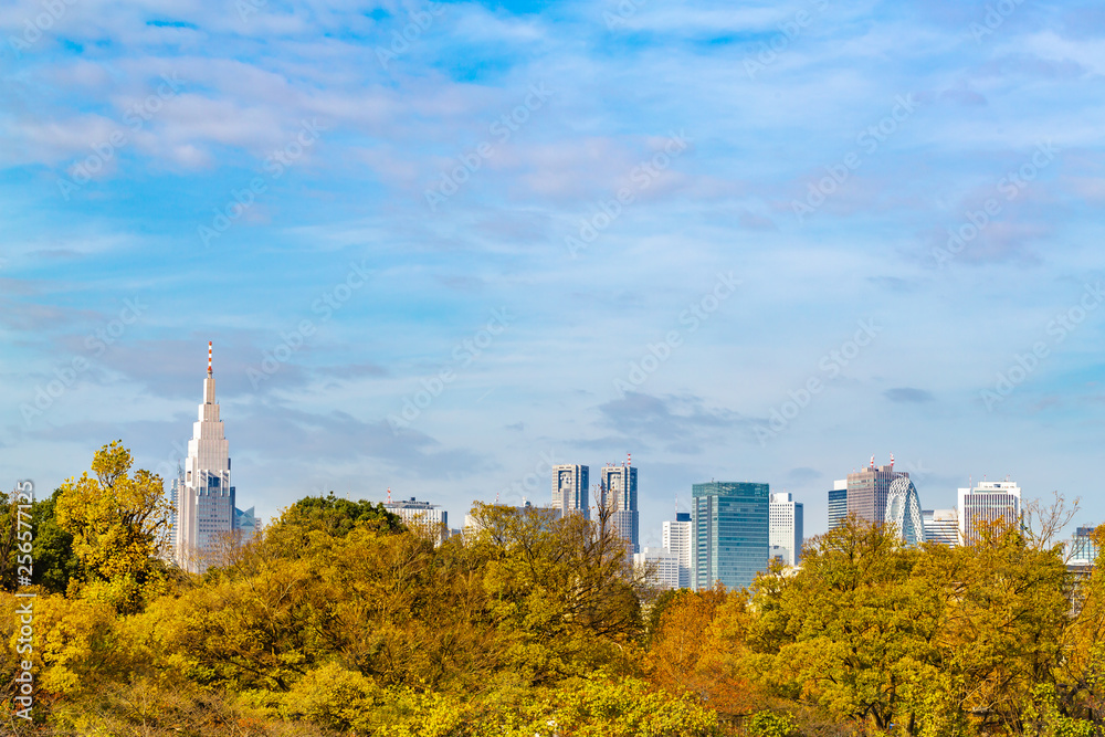 東京のビル群と紅葉の木