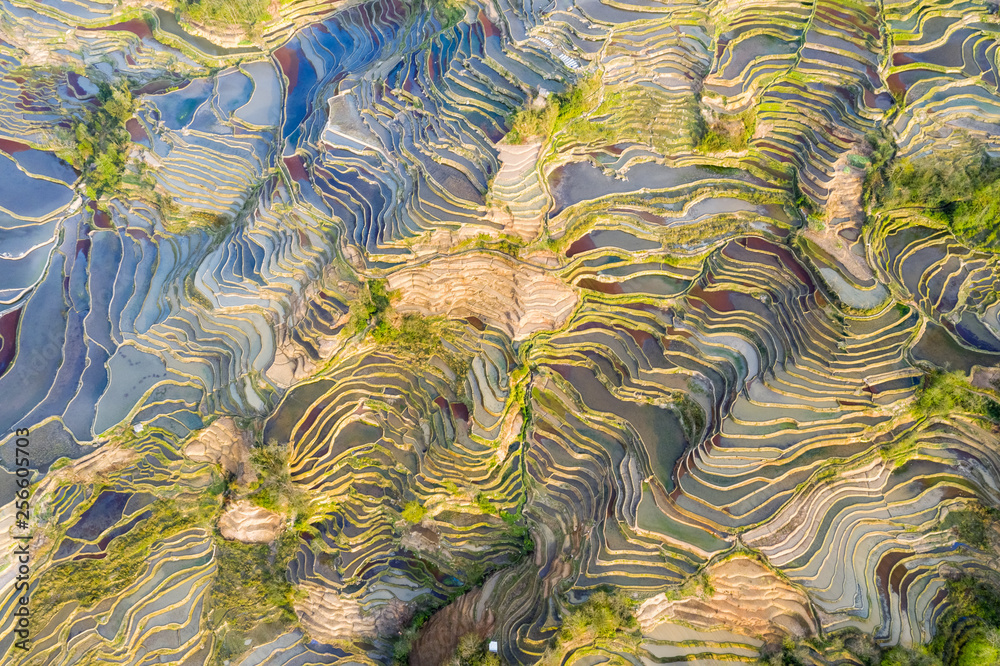 aerial view of terraced field texture