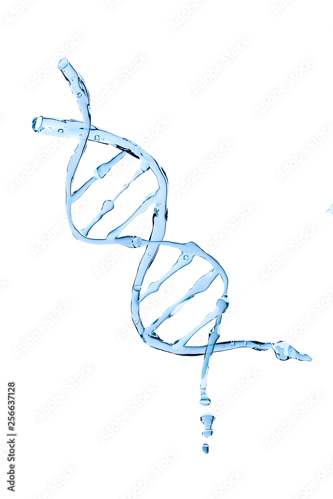 在白色背景下分离出DNA形状的水。在软件中拍摄水操纵的形状