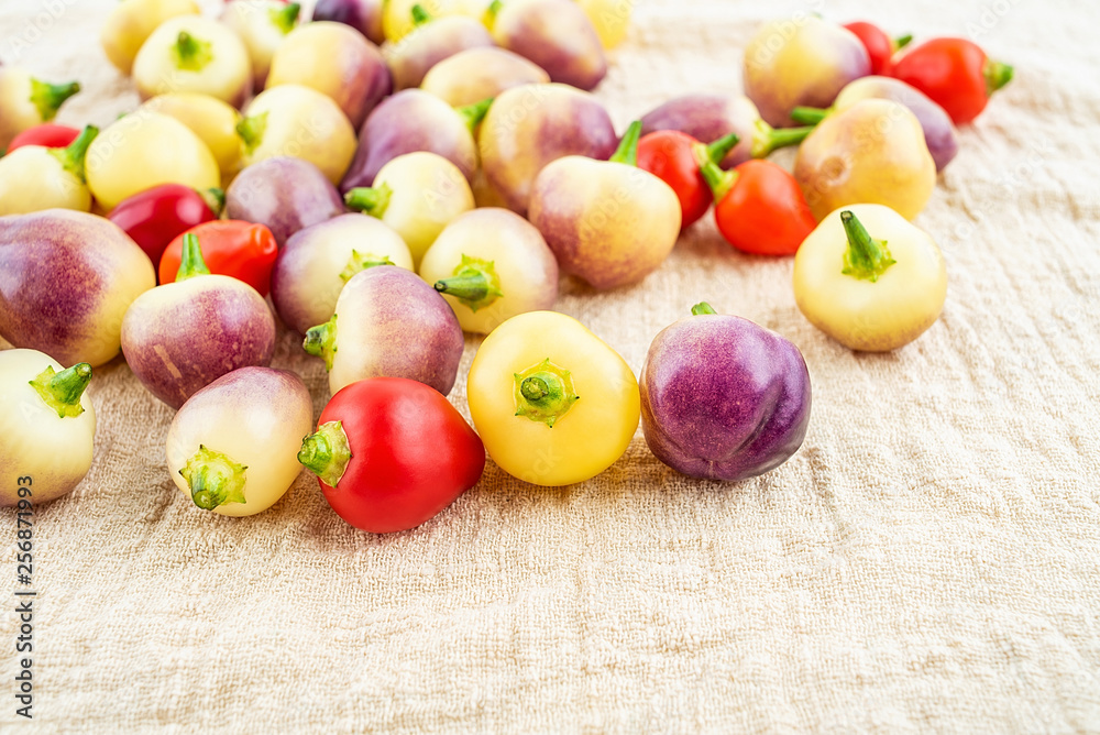 Fresh colorful peppers on burlap