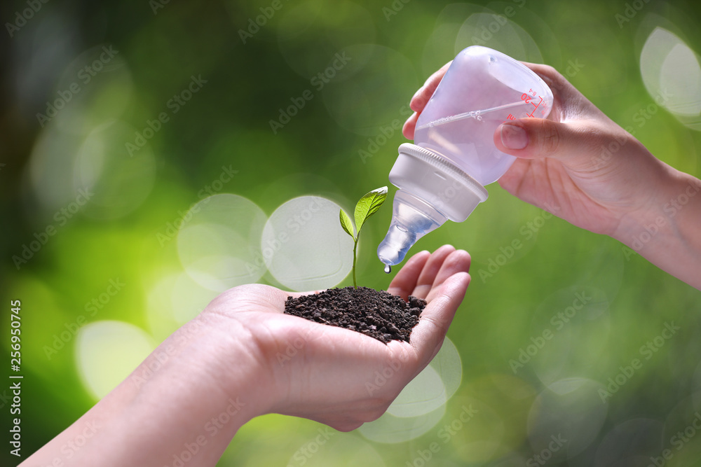 在自然背景下用婴儿水瓶护理和浇水的年轻植物的概念图像