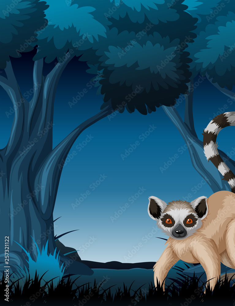 Lemur Standing Near Tree At Night