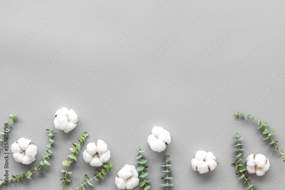 Flowers border with green eucalyptus branches and dry cotton flowers on grey background top view cop