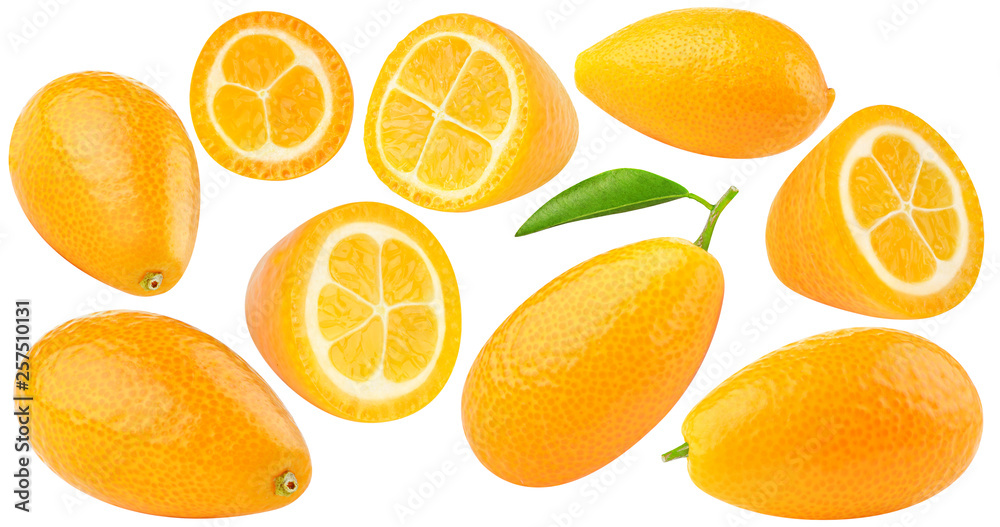 isolated kumquates. Collection of fresh kumquat (fortunella) citrus fruits, whole and cut, isolated 