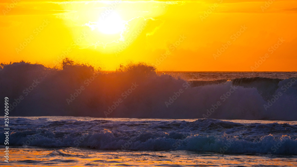 Golden evening sunbeams shine on the big barrel wave rolling towards the shore.