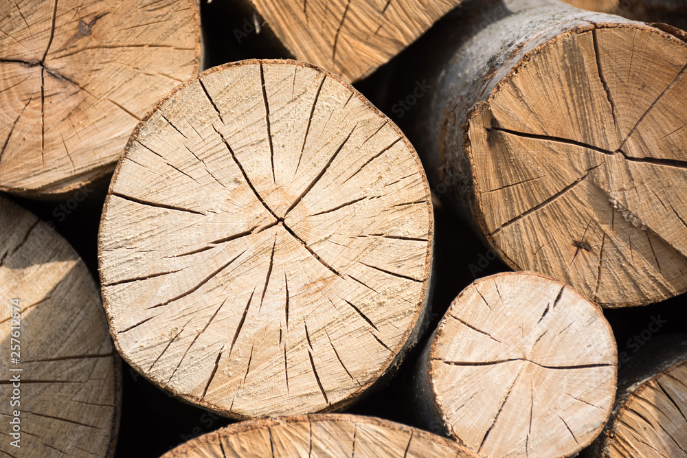 Pile of wood logs ready for winter