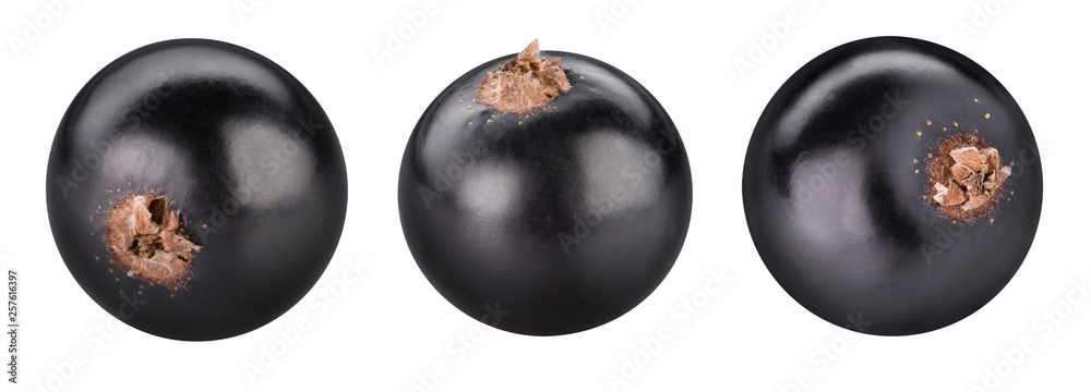 Black currants isolated Clipping Path