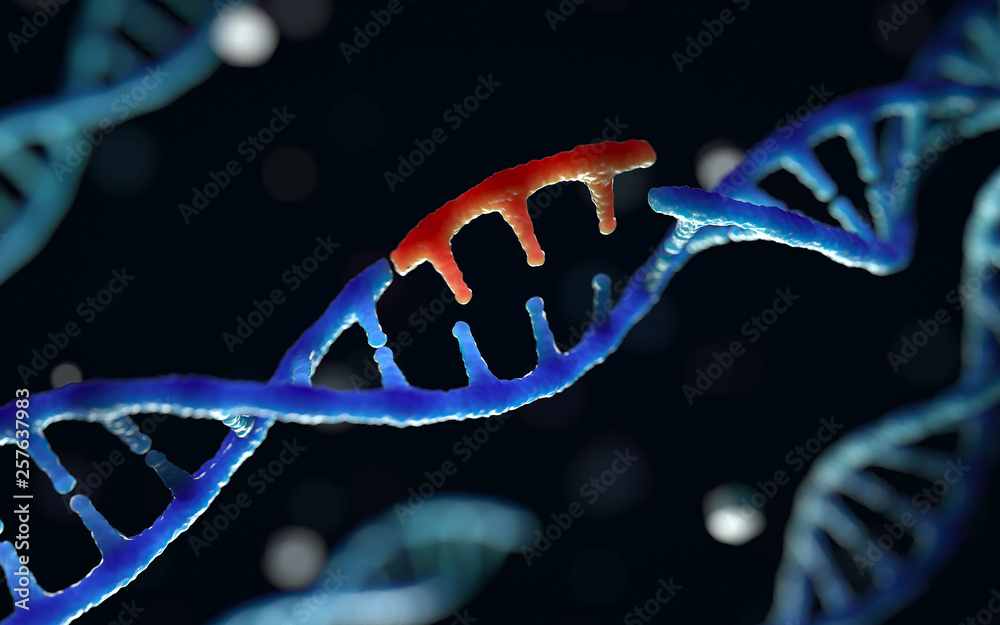 Genetic engineering and gene manipulation concept, 3d rendering,conceptual image.