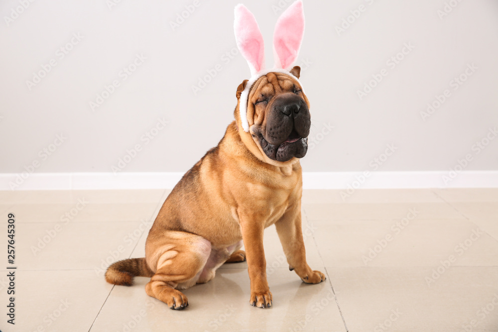 Cute funny dog with bunny ears in room