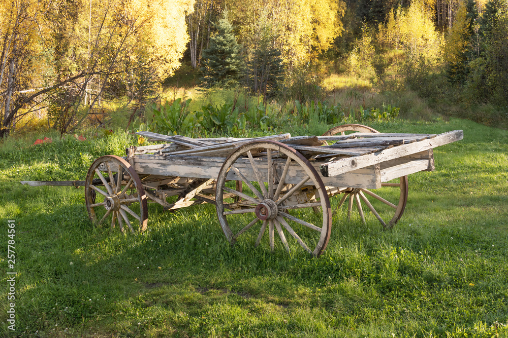 朽ちた木製の荷車　Old wooden cart