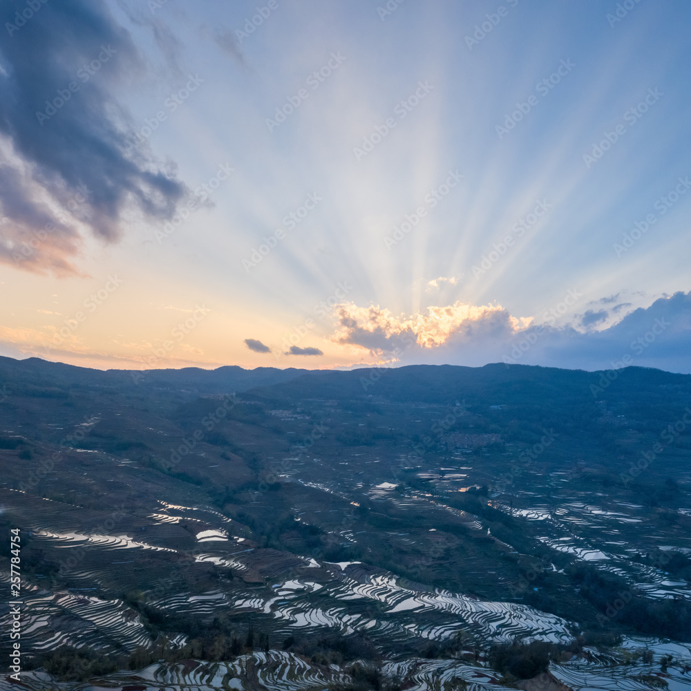 日落时美丽的梯田景观鸟瞰图