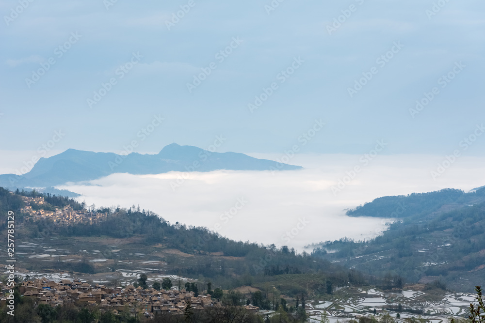 sea of clouds and terraced fields