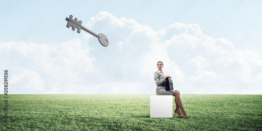 Attractive business lady or accountant outdoors on white box