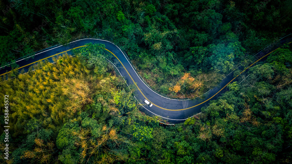 汽车在深雨林中的乡村道路上行驶，从上方可以看到绿树成荫的森林，鸟瞰车在空中