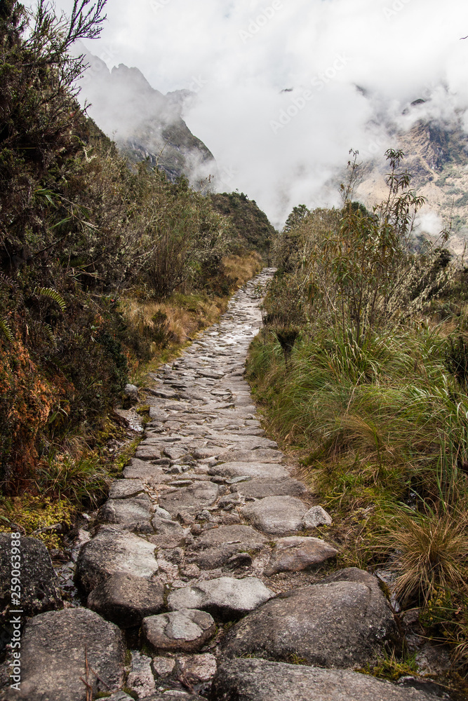 Stone path in Inca Trail