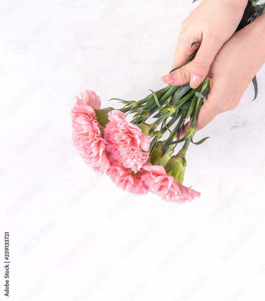 Woman giving bunch of elegance blooming baby pink color tender carnations isolated on bright marble 