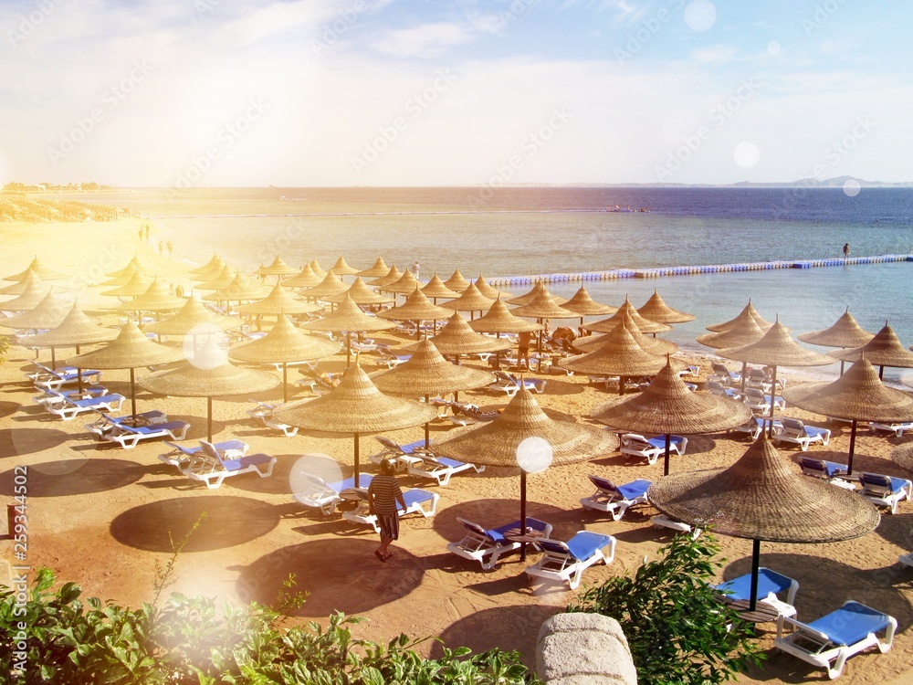 Sandy beach with umbrellas at seashore at daytime