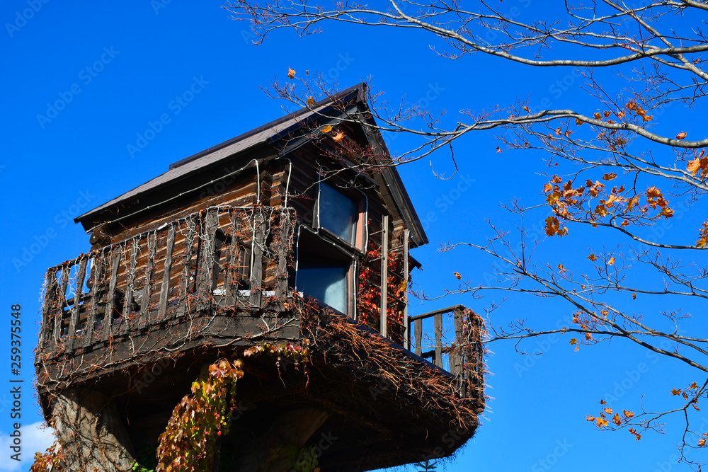 Tree house for children, fantasy like, creative and adventure play house for kids.