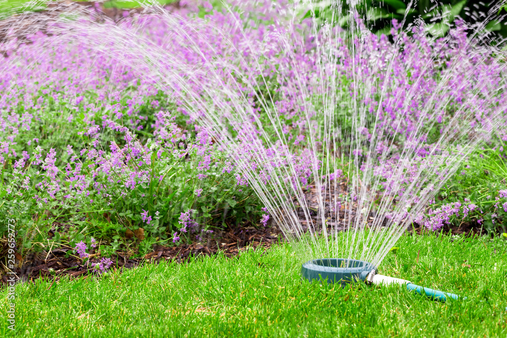 watering can in the garden