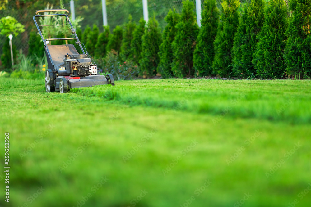 Lawn mower cutting green grass