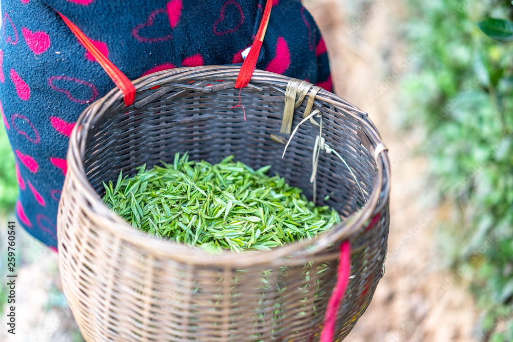 tea in basket