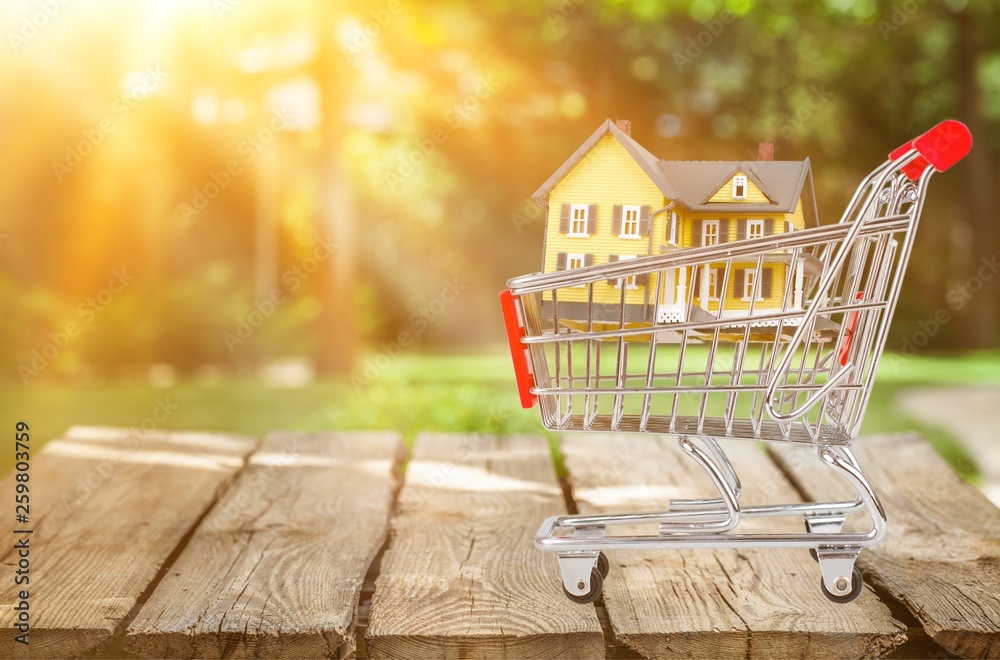 Classic house model  in shopping cart on backgrouund