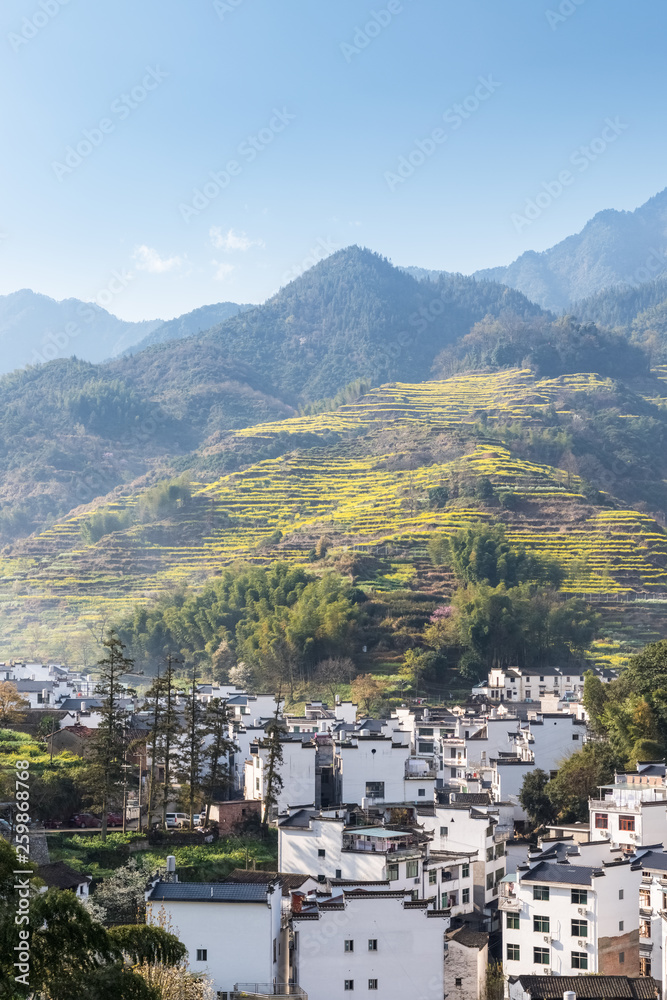 春天的婺源山村