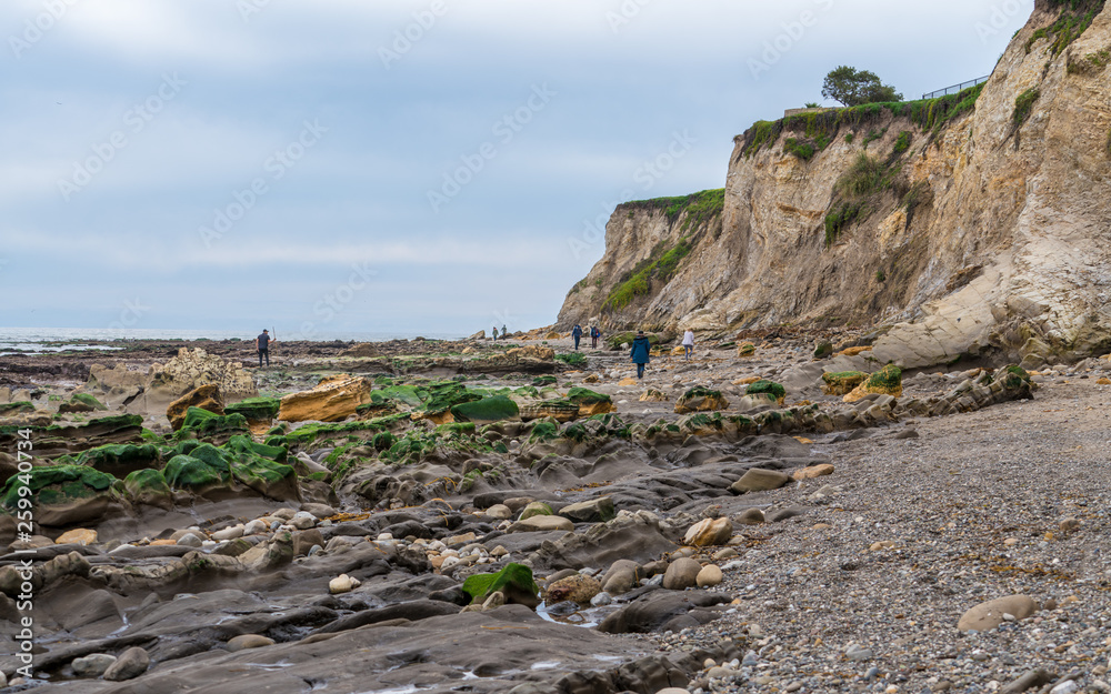 Tourists visiting rocky coastline beach in California