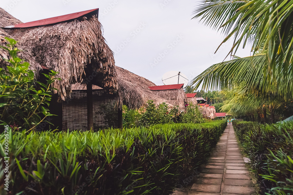 A bamboo house with a thatched roof