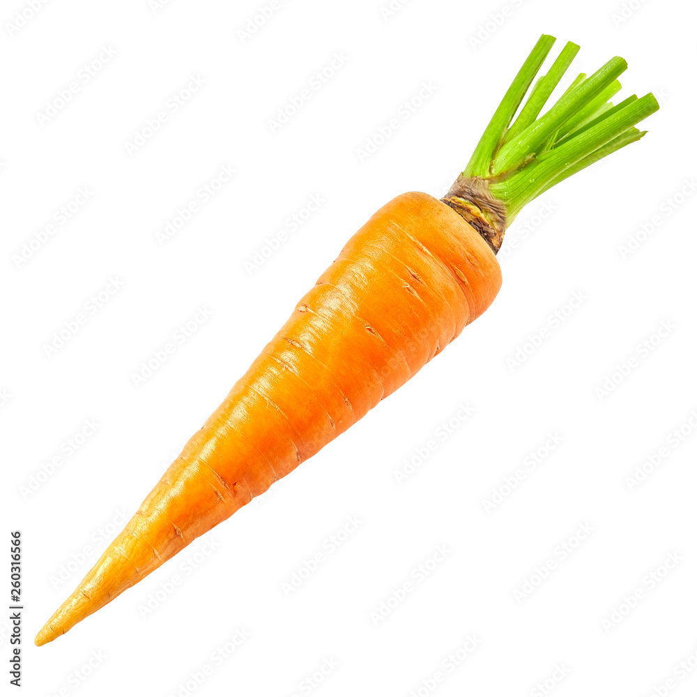 Carrots isolated on white