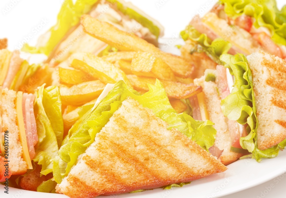 Grilled sandwiches with french fries on white plate