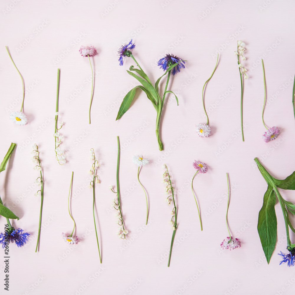 春季花卉布局。山谷百合、矢车菊、雏菊、牡丹园成排的平躺花