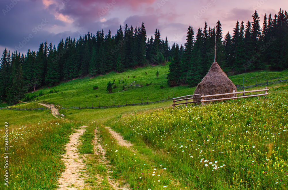 Summer mountain landscape