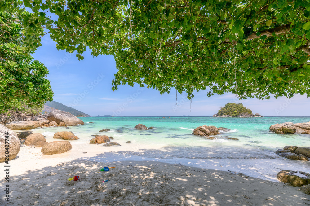 Beautiful white beach with shady tree on tropical sea