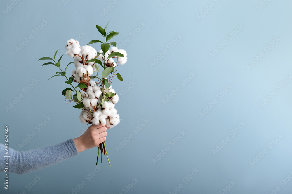 Female hand holding floral composition with cotton flowers on grey background