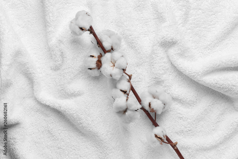 Cotton flowers on soft towel