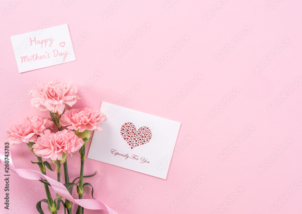 Beautiful fresh blooming baby pink color tender carnations isolated on bright pink background, mothe