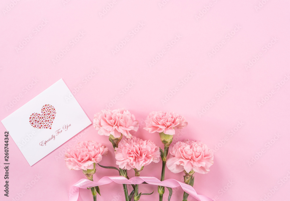 Beautiful fresh blooming baby pink color tender carnations isolated on bright pink background, mothe