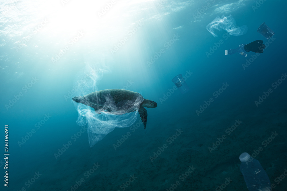 Underwater global problem with plastic rubbish