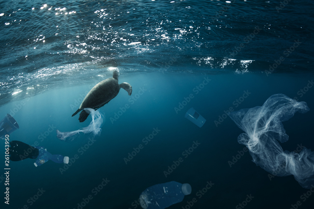 Underwater global problem with plastic rubbish