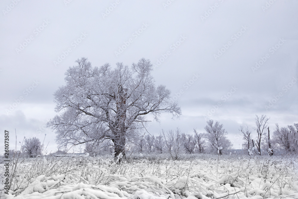 The first snow in December.