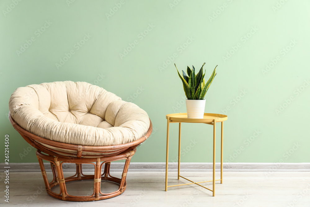 Lounge chair and table with plant near color wall in room