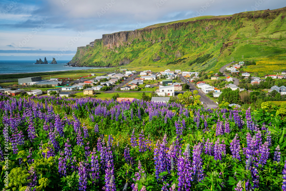 Beautiful town of Vik i Myrdal in Iceland in summer. The village of Vik  is the southernmost village