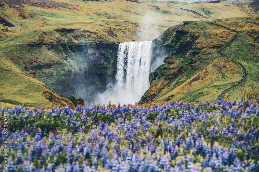 Beautiful scenery of the majestic Skogafoss Waterfall in countryside of Iceland in summer. Skogafoss