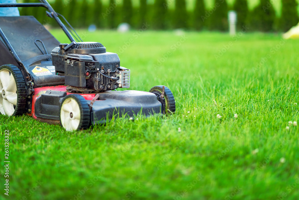 Lawn mower cutting green grass in sunlight