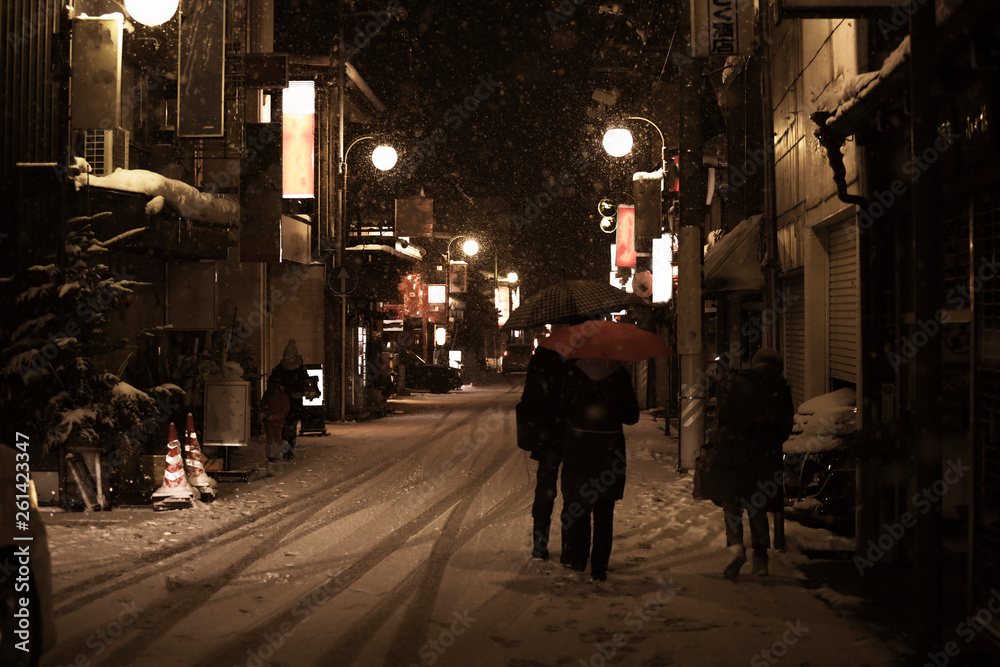 日本高山市降雪期间夜晚的道路