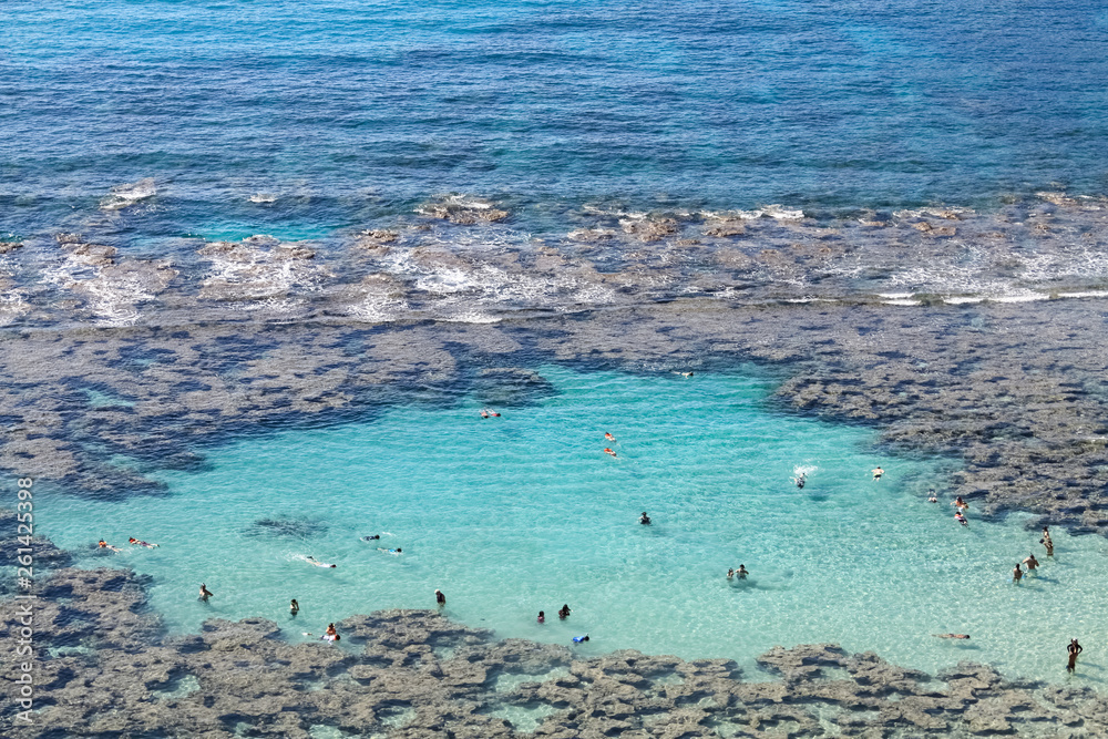 snorkeling in hanauma bay