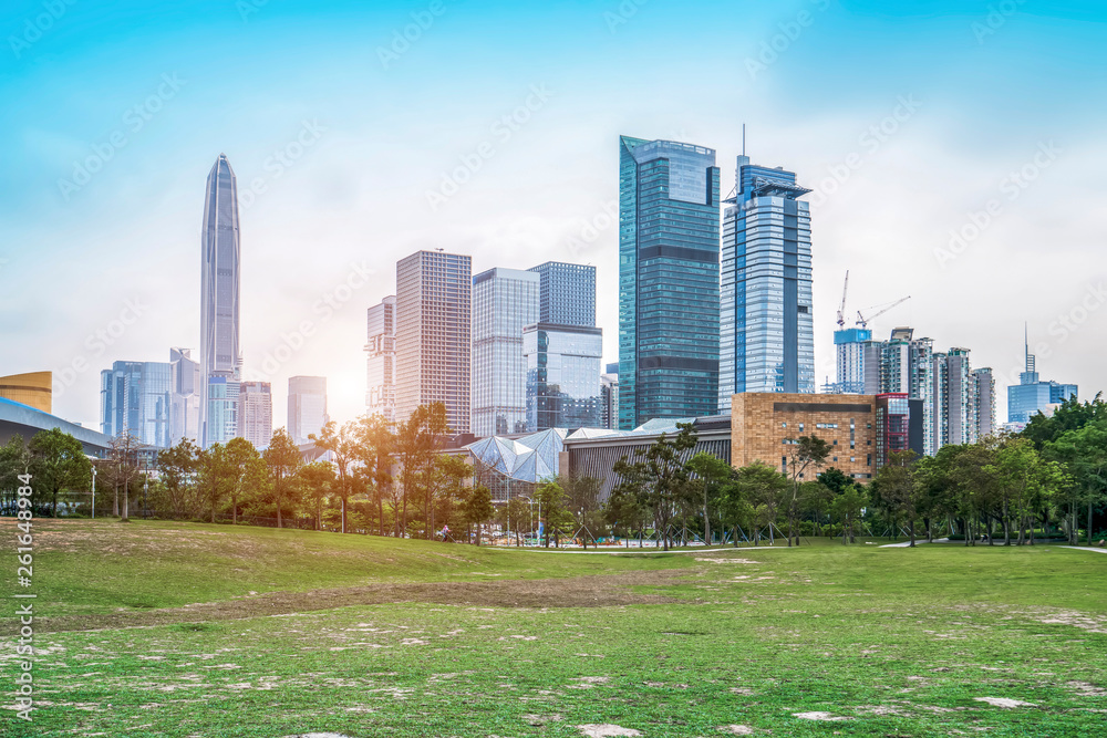 Park Grassland and Urban Architectural Skyline..