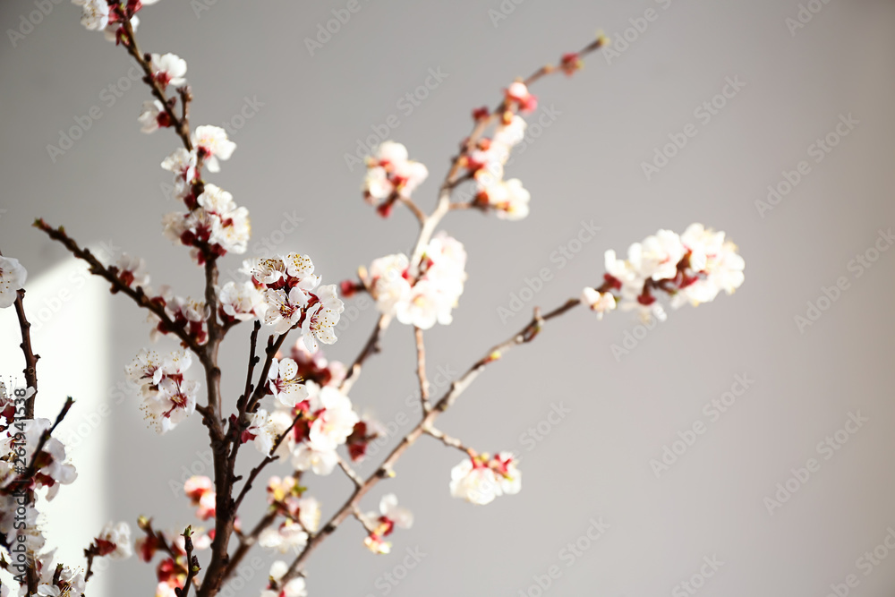 Beautiful blossoming branches on light background